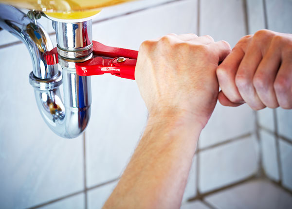 About Locust Plumbers